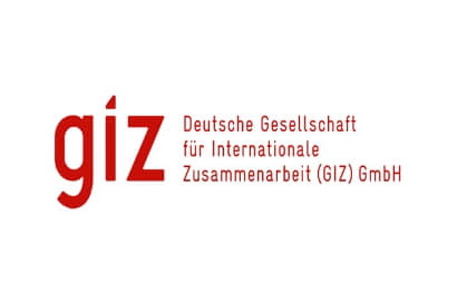 Société allemande de coopération internationale (GIZ)