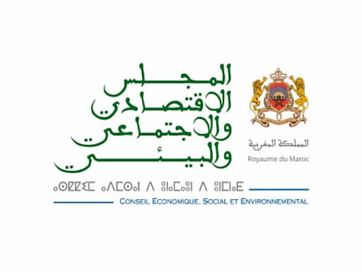 Conseil Economique, Social et Environnement (CESE)