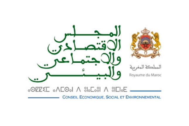 Conseil Economique, Social et Environnement (CESE)